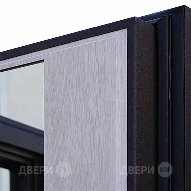 Входная металлическая Дверь Шелтер (SHELTER) Филадельфия Зеркало в Реутове