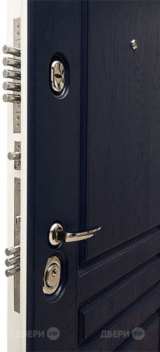 Входная металлическая Дверь Сударь МД-45 в Реутове